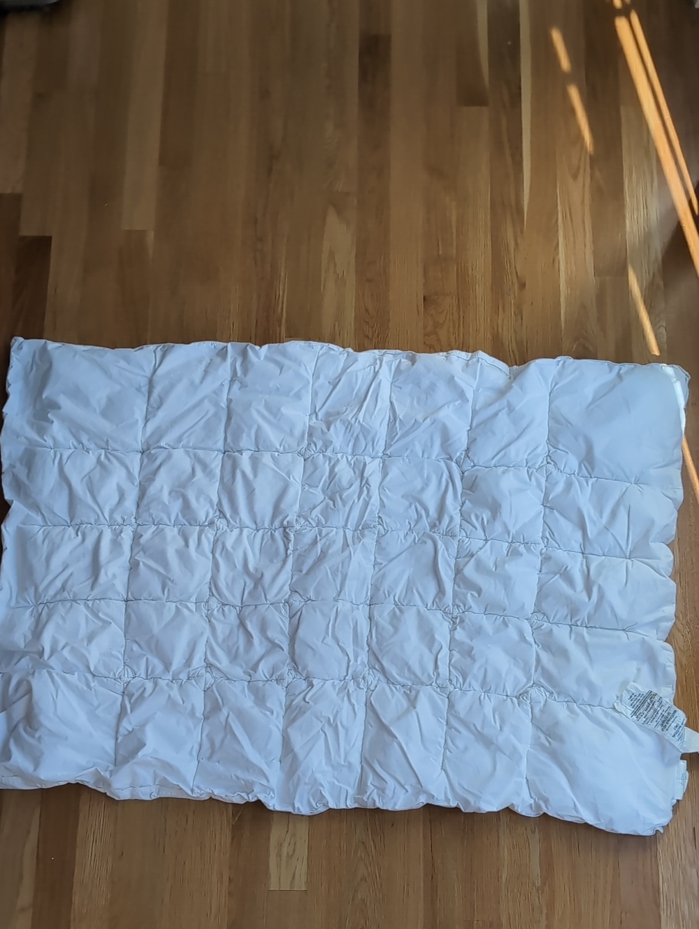 Pottery Barn Kids ECO DOWN White Comforter - Toddler Size